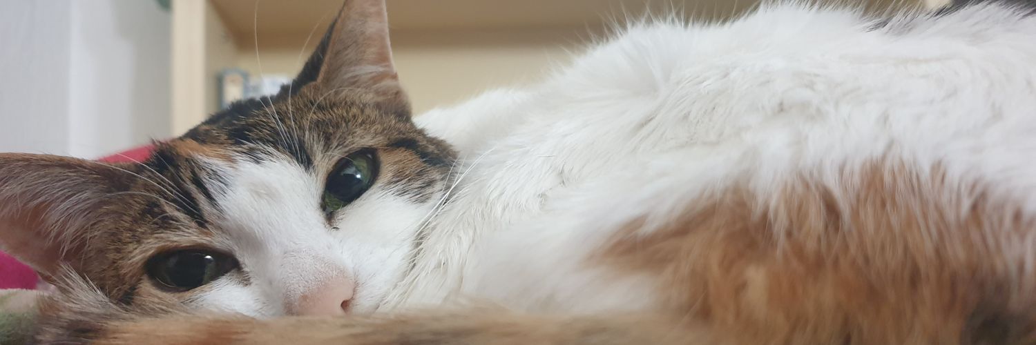 MariG93's profile banner image