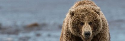JDizzle48's profile banner image