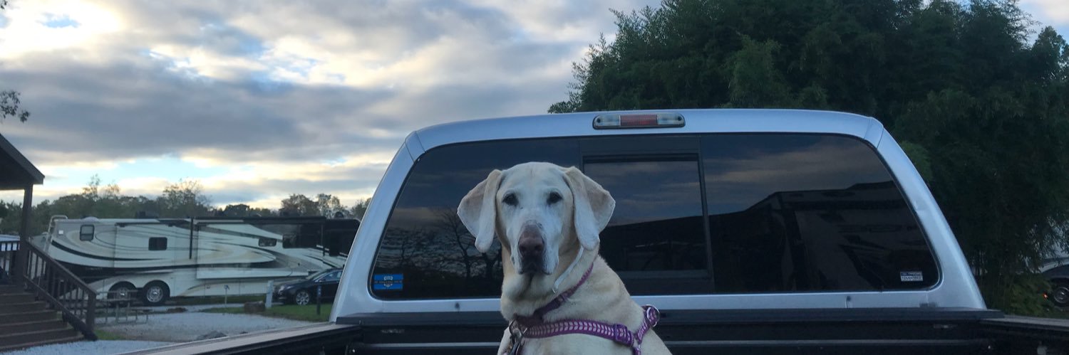ava_hahn's profile banner image