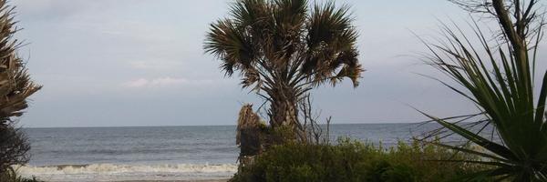 F3Cheech Profile Banner