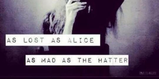 Haileylux's profile banner image