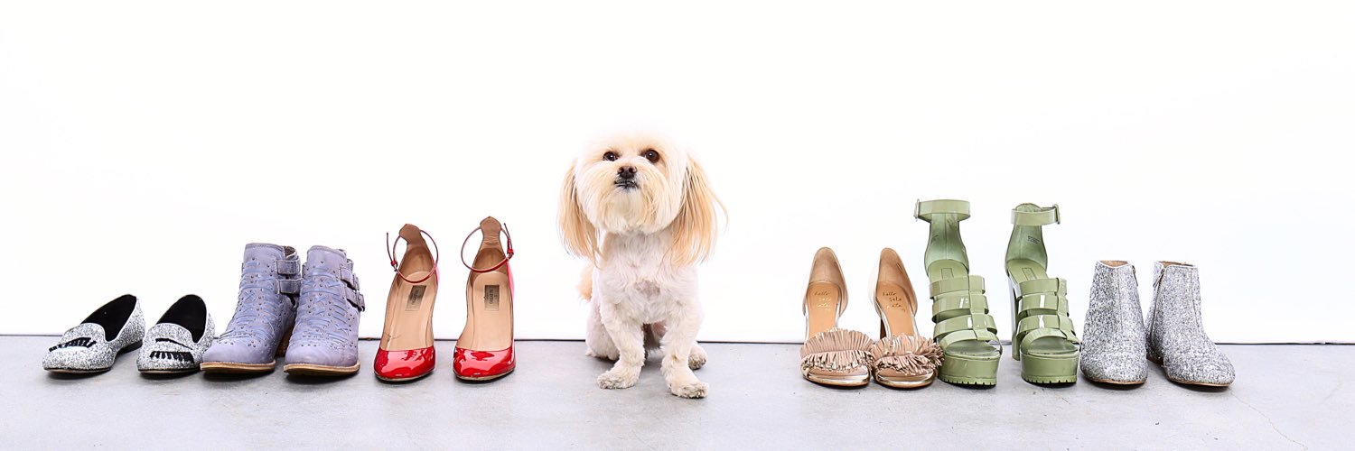 KatWalk Fashion banner