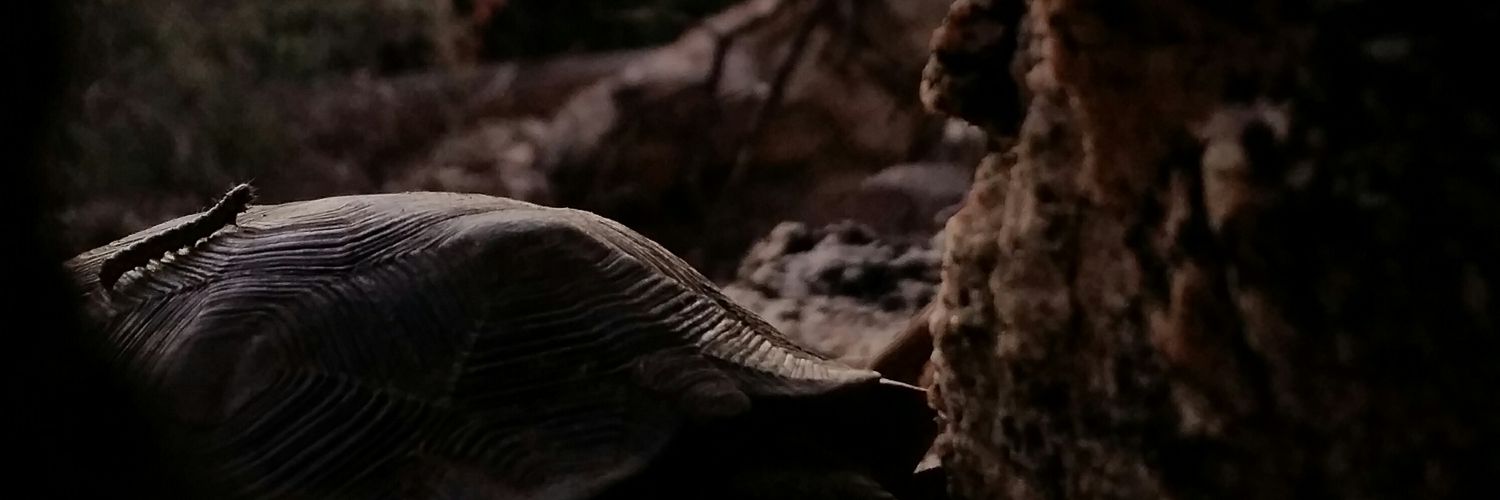 CharlesPeden's profile banner image