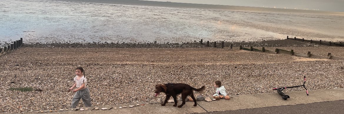 freddie fayers banner