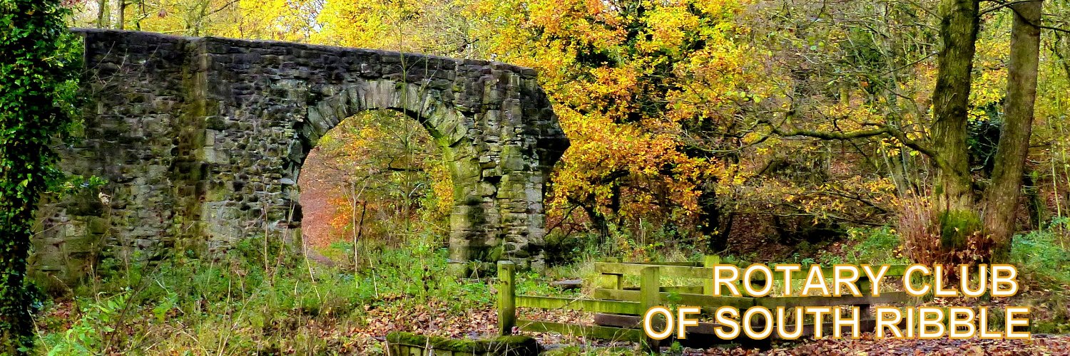 SRRotary's profile banner image