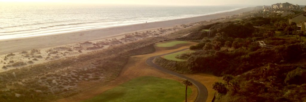 Laura Aurandt banner