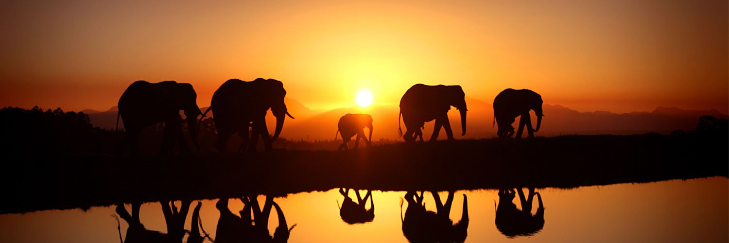 #VisitUganda #TemebeaNyumbani banner