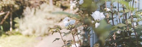 fati_zo11's profile banner image