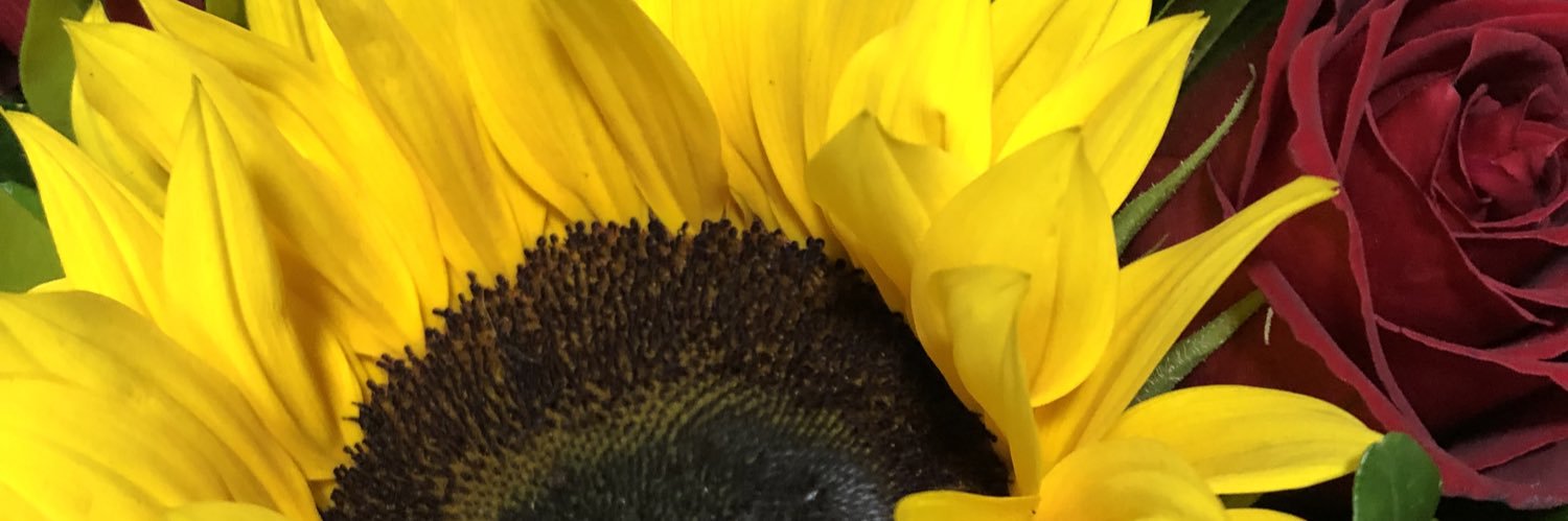 Patricia Alvarado banner