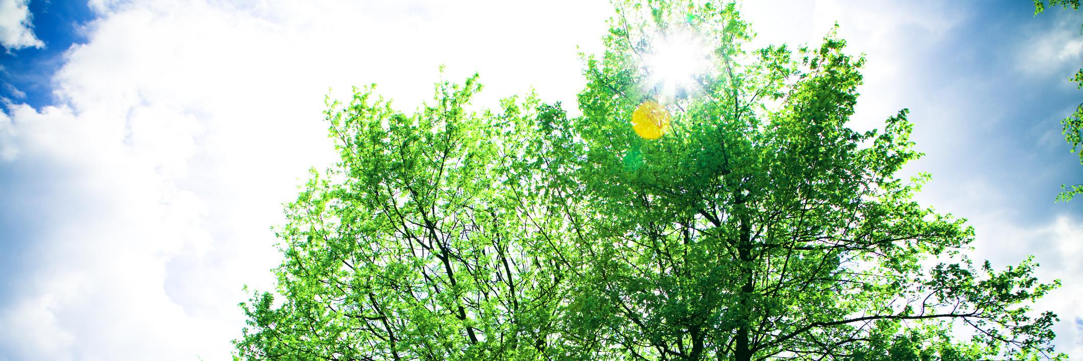 OttawaBoomer's profile banner image