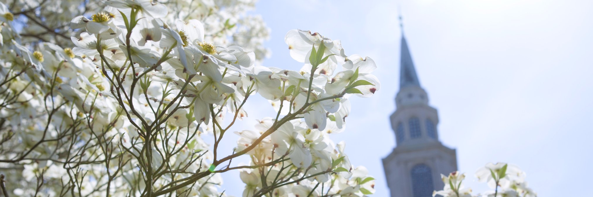 Samford Leadership banner