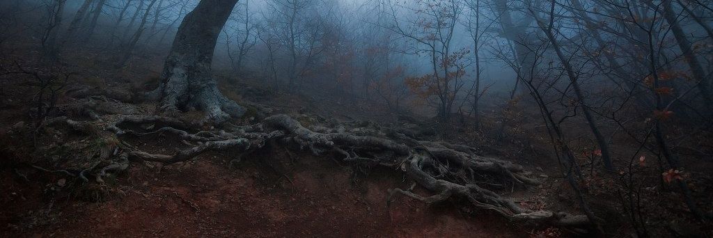 redheadslover's profile banner image