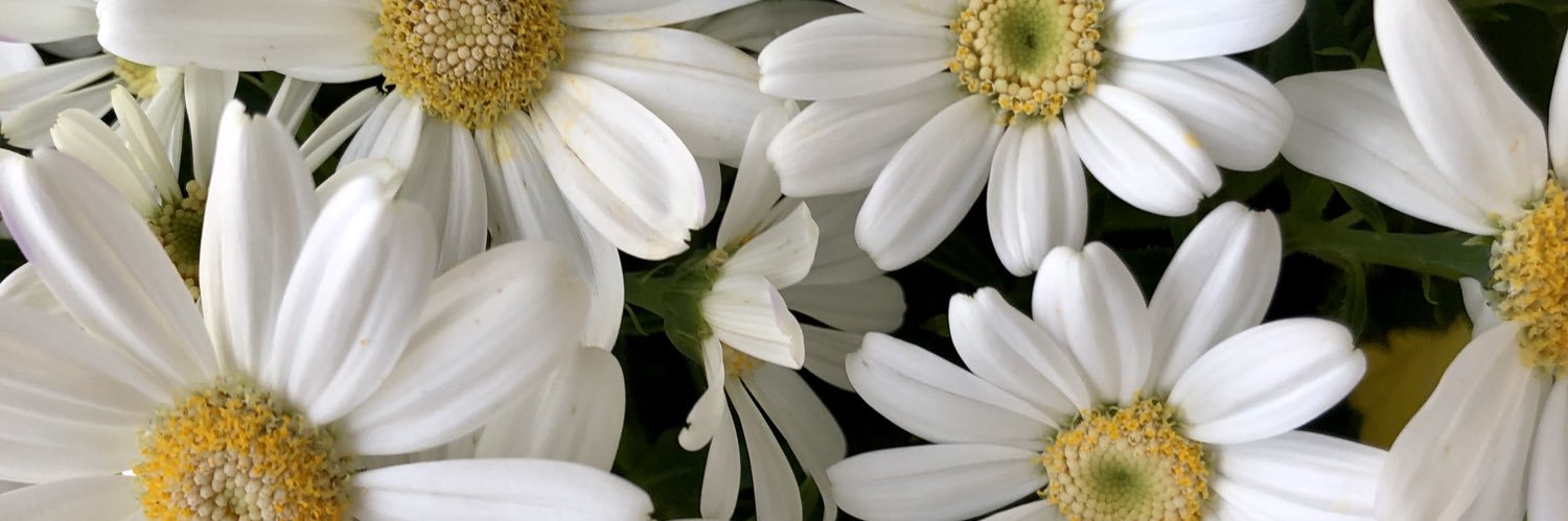 0422_airi's profile banner image
