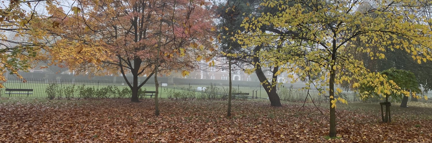 Ella Massy-Greene banner