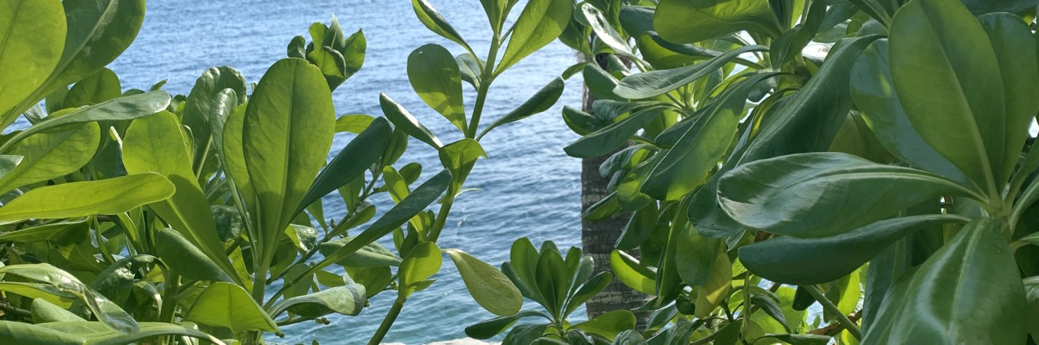mollyykane's profile banner image