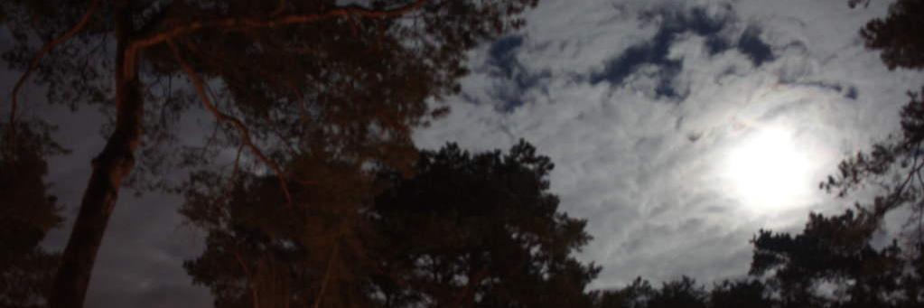 MatthiasBoldt's profile banner image