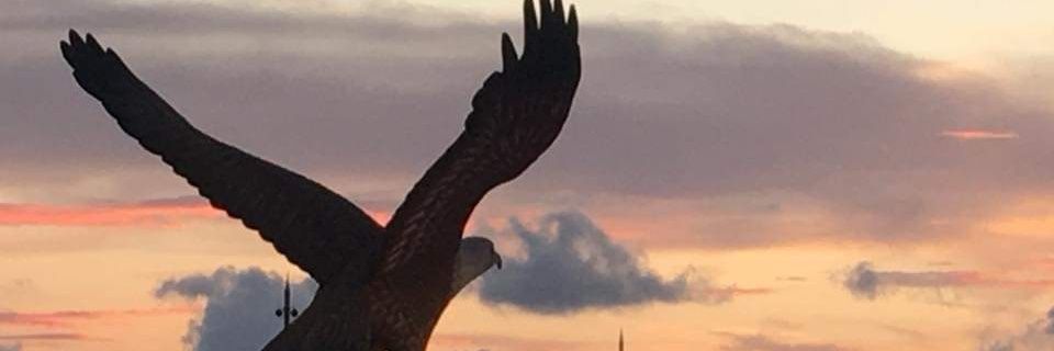 Sandynpn's profile banner image