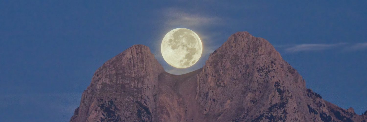 @elscollonsplens banner