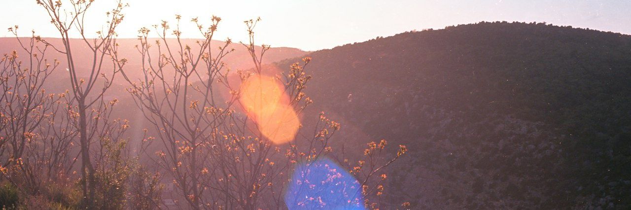 seventhvis's profile banner image
