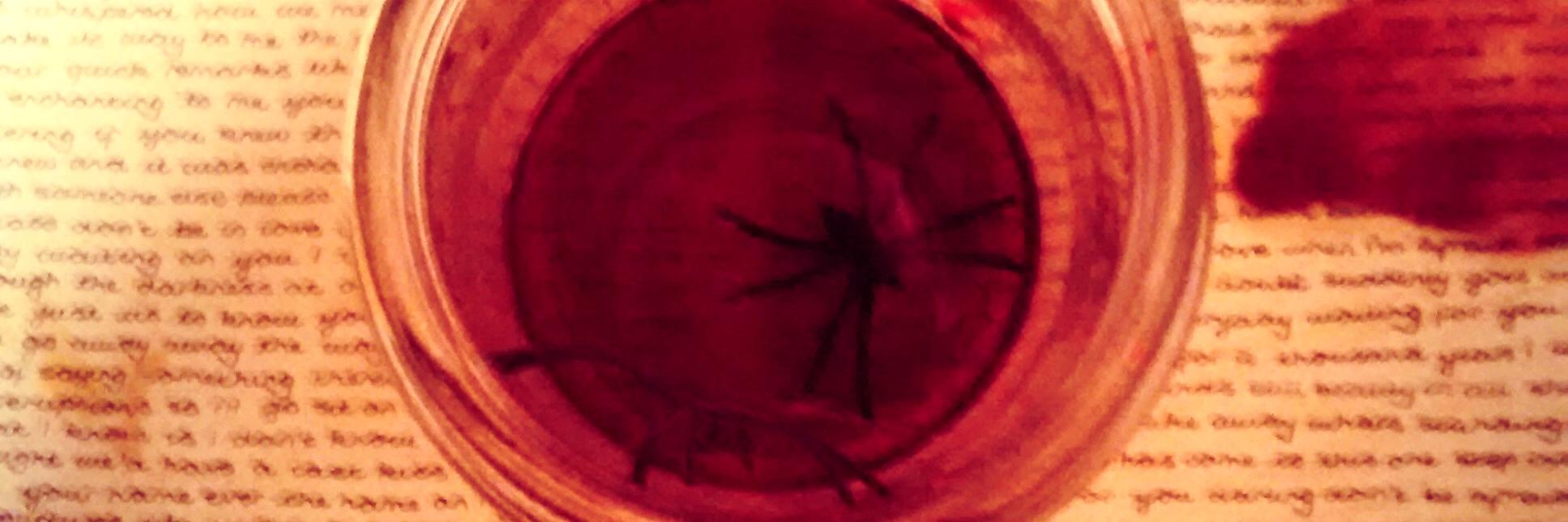 TalesoftheGlass's profile banner image