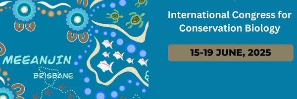 ICCB2025 Profile Banner