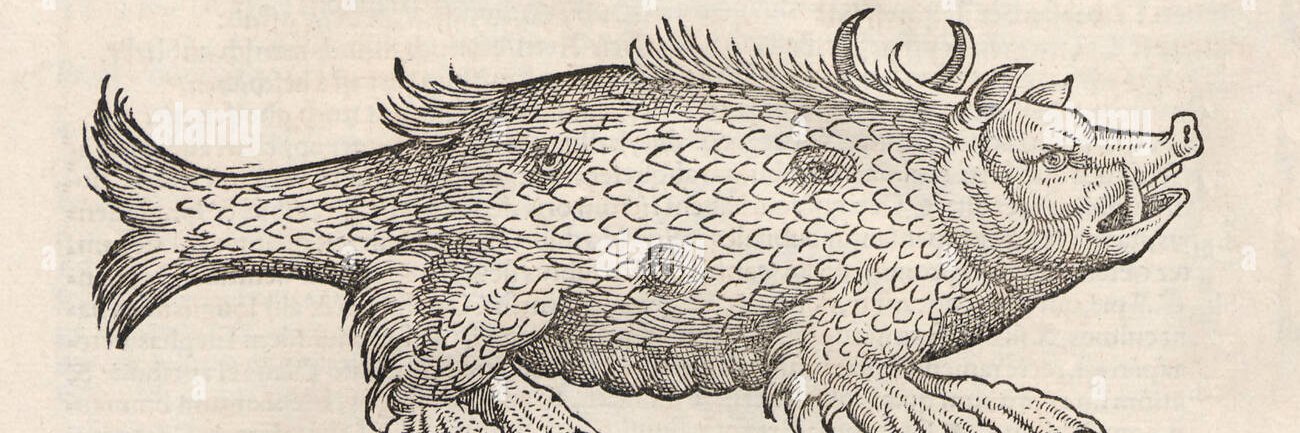 Searching for a Zerching banner