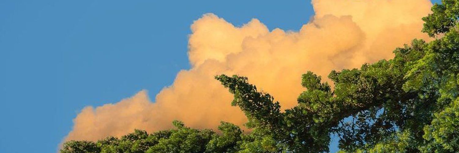 Ivan13229811's profile banner image
