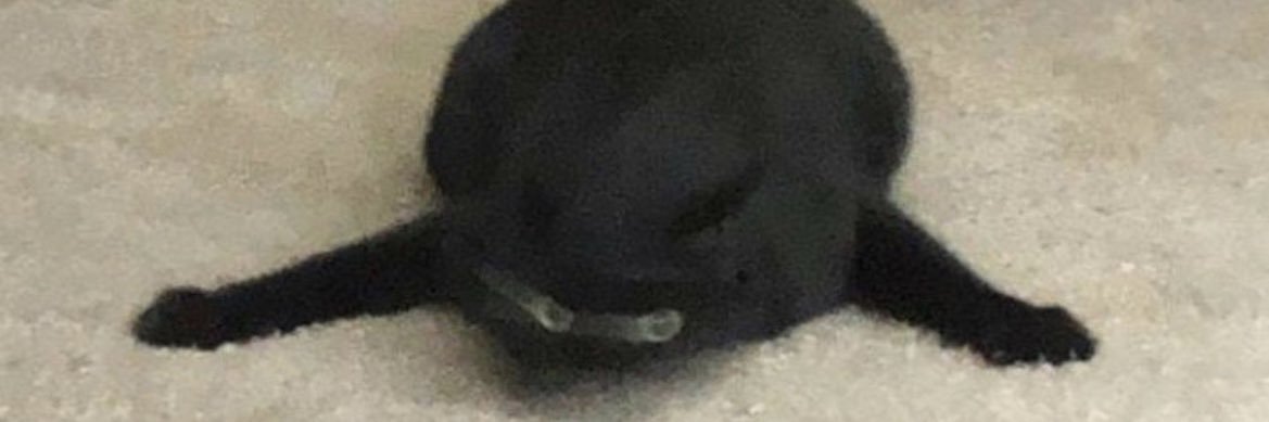 jordanpachee's profile banner image