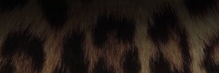 4naJul's profile banner image