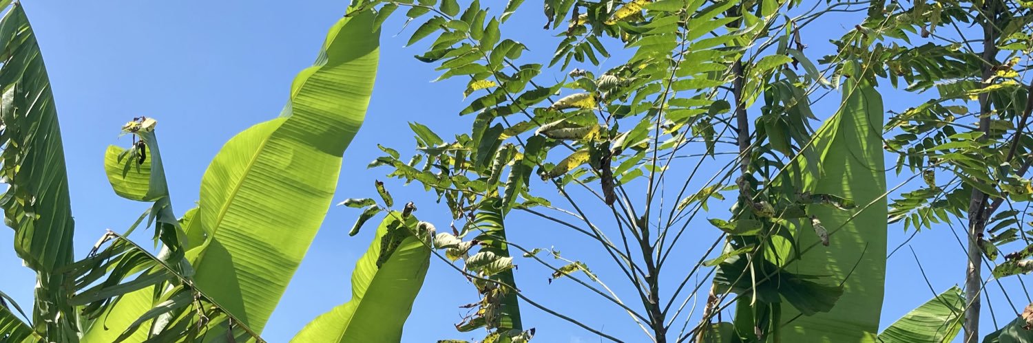 kanochang55's profile banner image