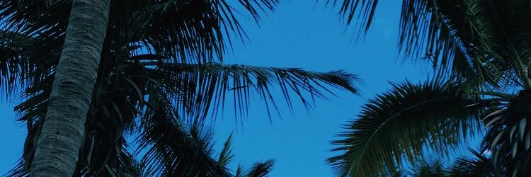 laneydeggest's profile banner image