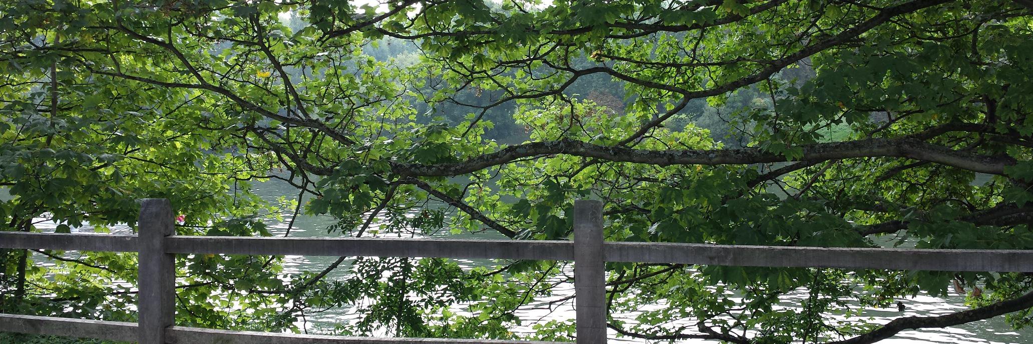 MandaMJM's profile banner image
