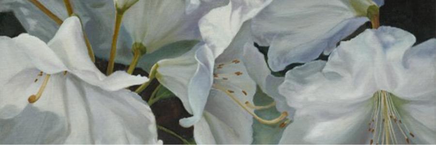gildorgdrs's profile banner image