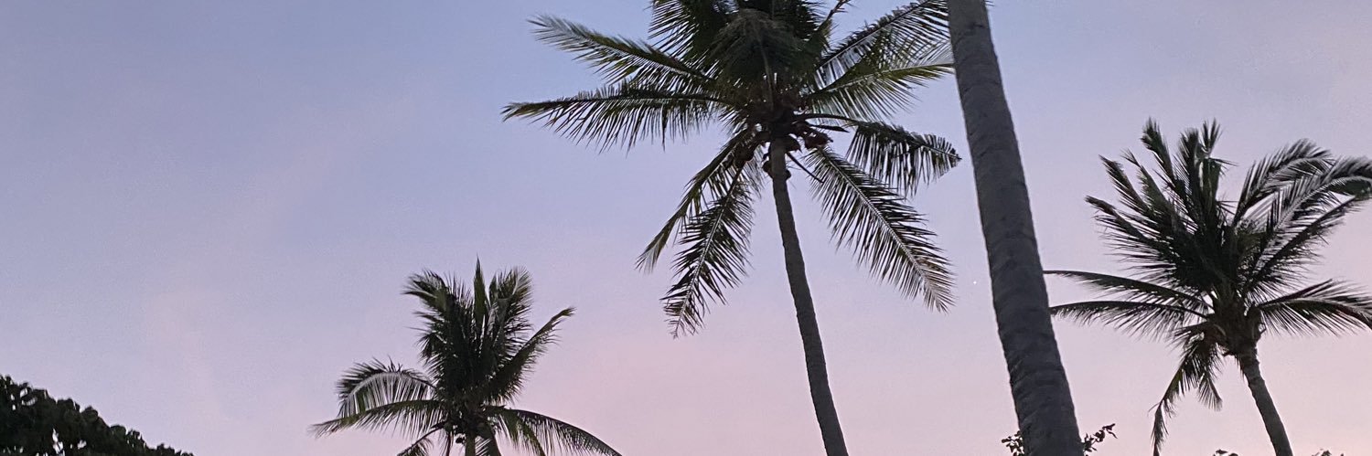 aannaekdal's profile banner image