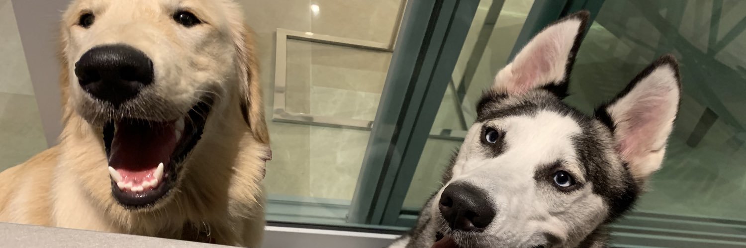 jdcastro07's profile banner image