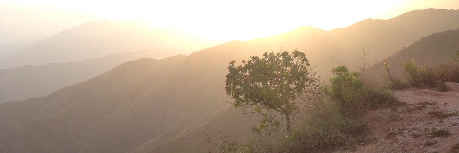 Yefri David  banner