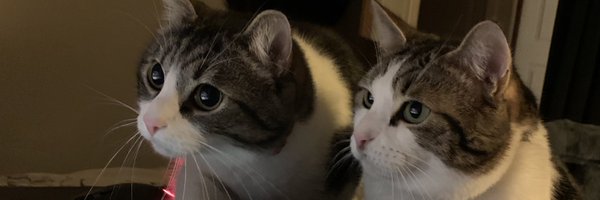 chatmignon__ Profile Banner