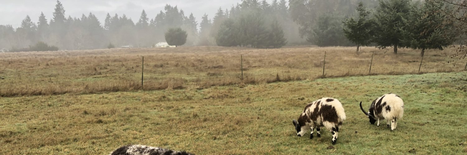 Danny Newcomb banner