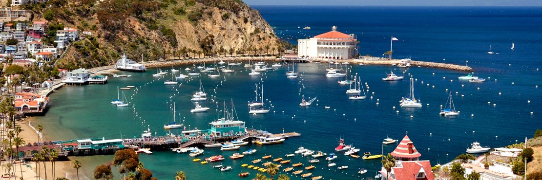 Peter Paccone banner