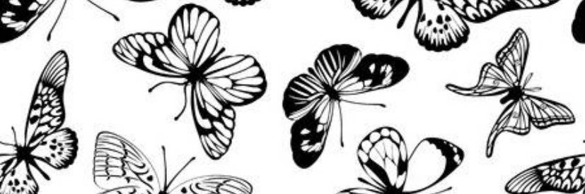 Albamfernandez's profile banner image
