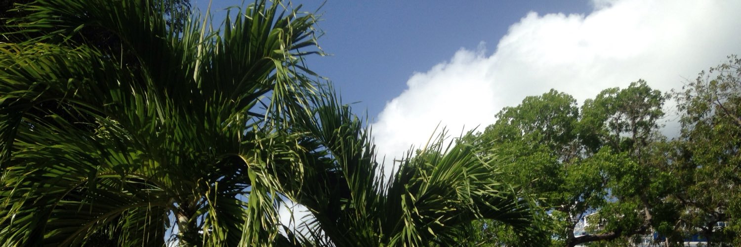 hanxmorris's profile banner image