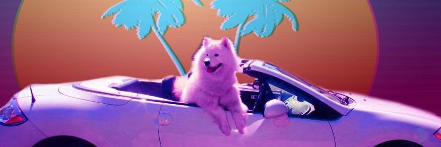TheSkyeHirsch's profile banner image