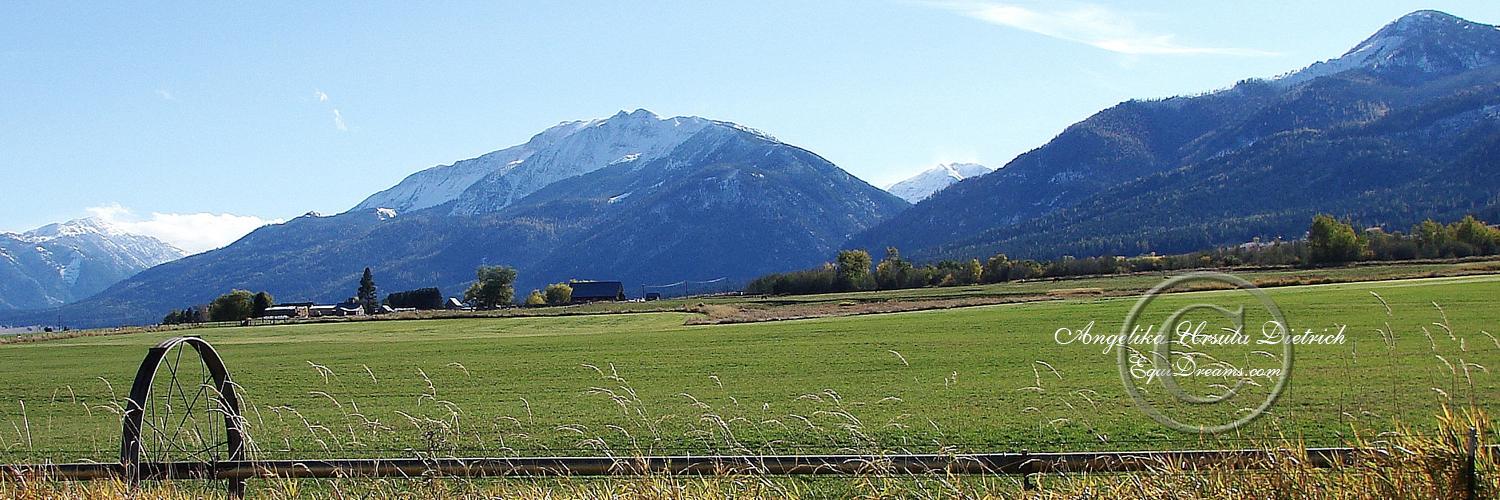I Love WallowaCounty banner