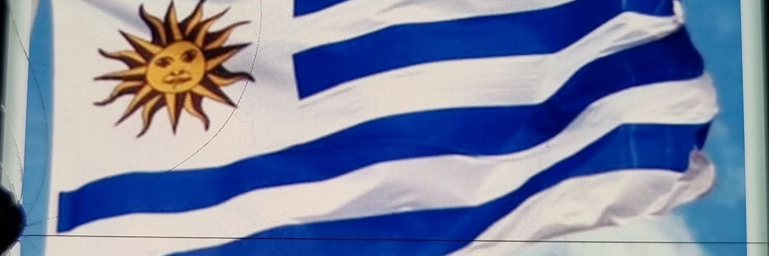 masingeniomejor's profile banner image