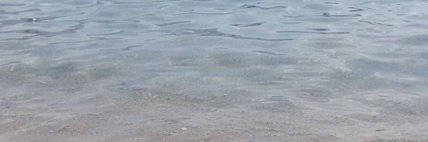 Željko Vučković banner