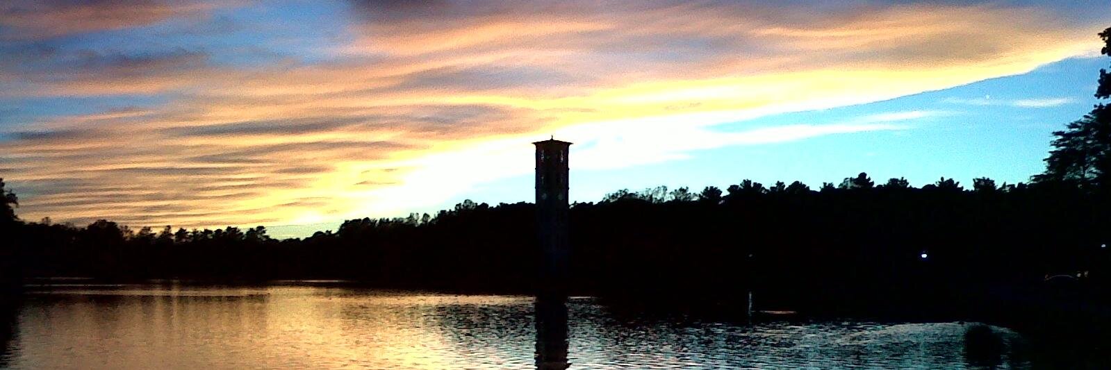 Chelsea Brewer banner