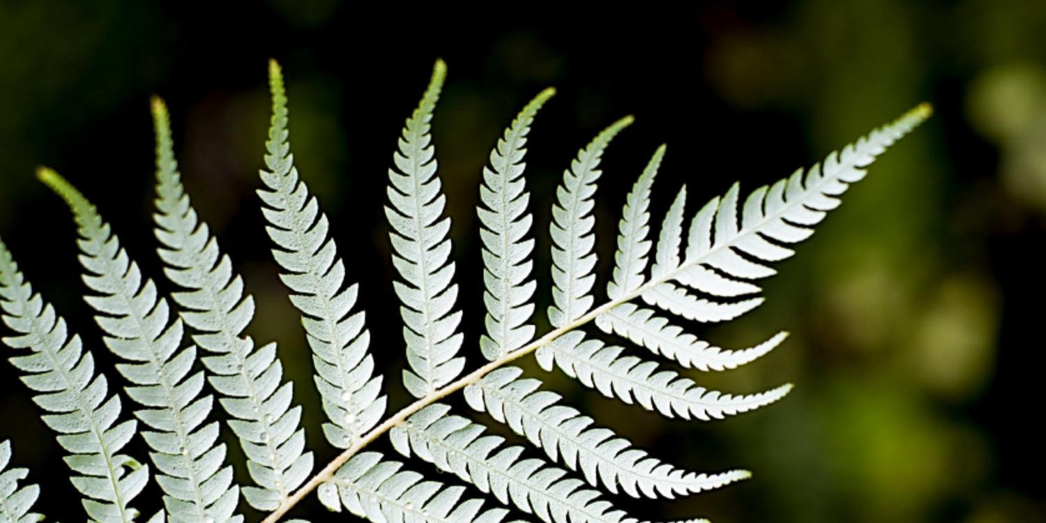 _jocampbell's profile banner image