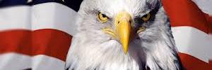 BoringJebBush's profile banner image