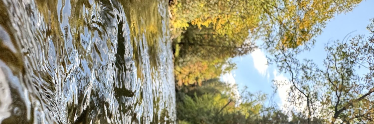 Nick Knoblock banner