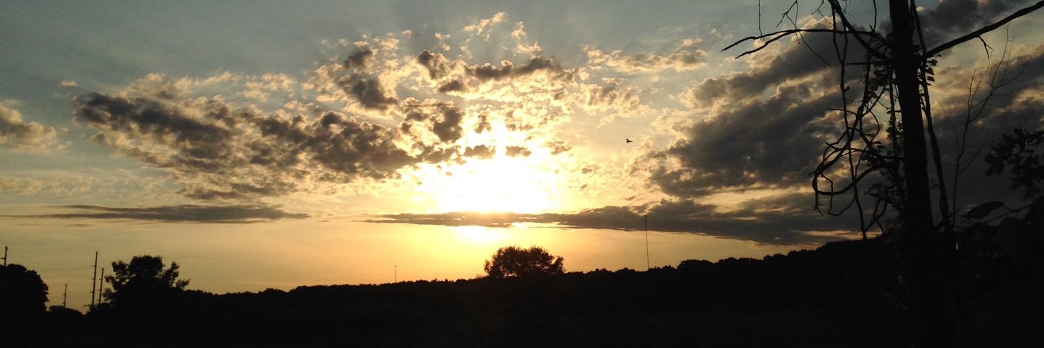 VIIDevoS's profile banner image